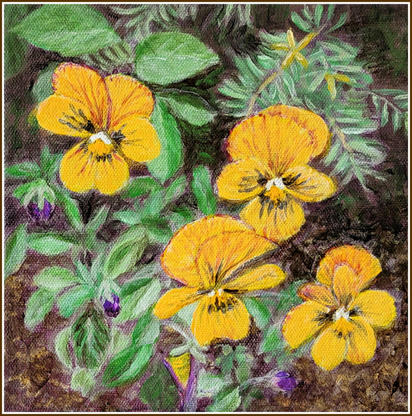 Yellow Pansies